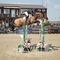 Nicole Pavitt Takes the Redpost Equestrian Senior Foxhunter Second Round at Wales and West
